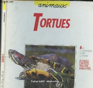 Les tortues