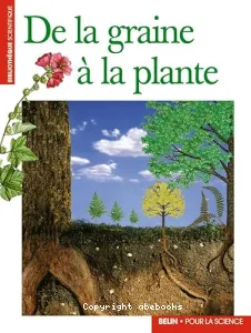 De la graine à la plante