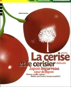 La cerise et le cerisier