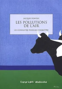 Les pollutions de l'air