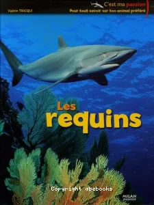 Les requins