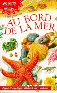 Au bord de la mer