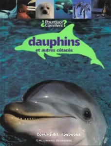 Dauphins