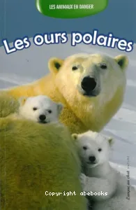 Les ours polaires