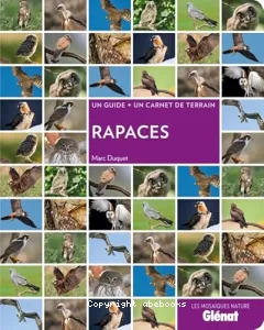 Rapaces