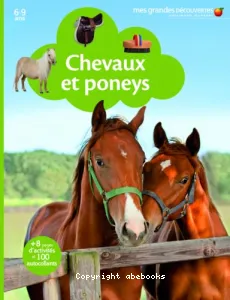 Chevaux et poneys