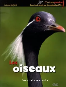 Les oiseaux