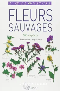 Fleurs sauvages