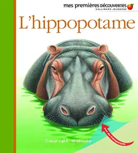 L'hippopotame