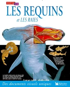 Fenêtre sur les requins