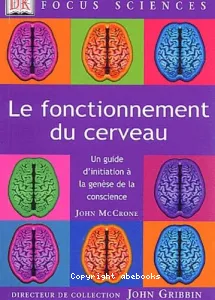 Le fonctionnement du cerveau