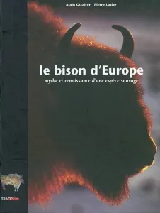 Le bison d'Europe