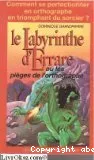 Labyrinthe d'Errare (Le)
