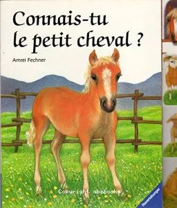 Connais_ tu le petit cheval?