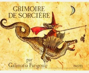 Grimoire de sorcière par Galimatia Farigoule