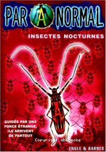 Insectes nocturnes