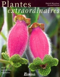 Plantes extraordinaires