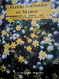 Fleurs Sauvages du Maroc