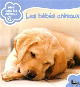 Les bébés animaux