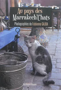 Au pays de Marrakech'chats