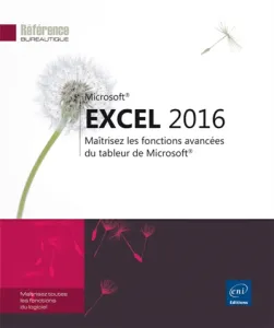 Excel 2016 - Maîtrisez les fonctions avancées du tableur de Microsoft