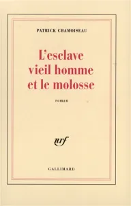 L'esclave vieil homme et le molosse