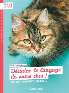 Décodez le langage de votre chat !