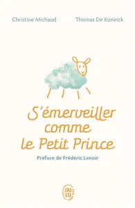 S'émerveiller comme le Petit Prince