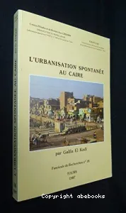 urbanisation spontanée au Caire (L')