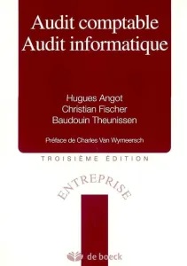 Audit comptable audit informatique