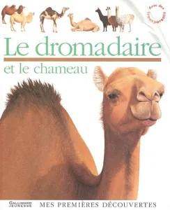 Dromadaire et la chateau (Le)