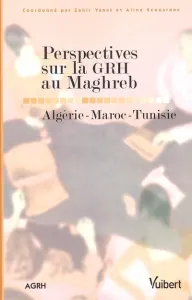 Perspectives sur la GRH au Maghreb