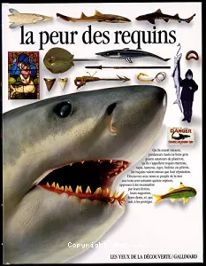 La peur des requins