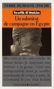 Un Substitut de campagne en Egypte