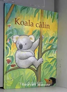 Koala câlin